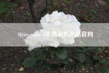 运城中国消防产品官网