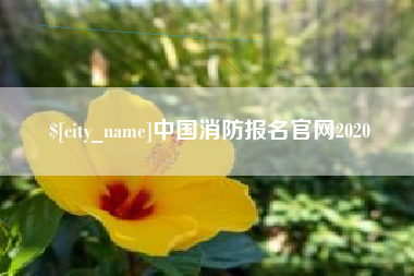 运城中国消防报名官网2020