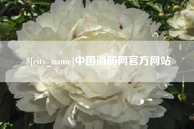 运城中国消防网官方网站