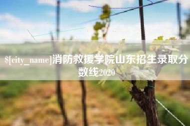 运城消防救援学院山东招生录取分数线2020