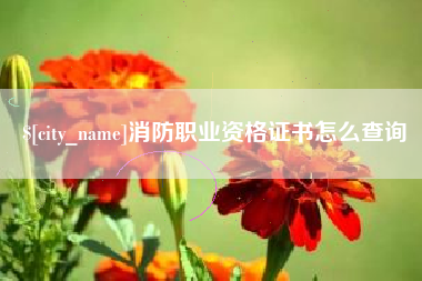 运城消防职业资格证书怎么查询