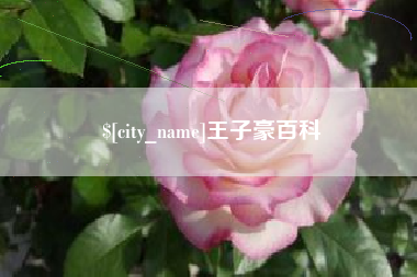 运城王子豪百科