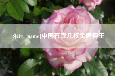 运城中国有哪几枚金牌得主