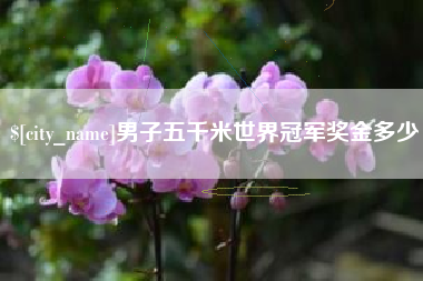 运城男子五千米世界冠军奖金多少