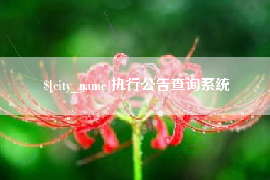 运城执行公告查询系统