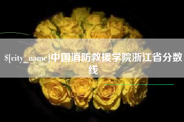 运城中国消防救援学院浙江省分数线
