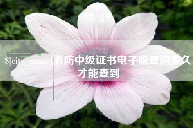 运城消防中级证书电子版查询多久才能查到