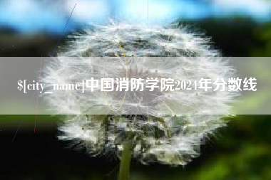 运城中国消防学院2024年分数线