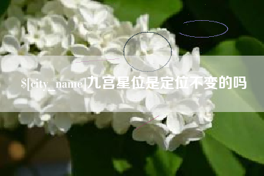 运城九宫星位是定位不变的吗