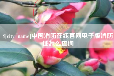 运城中国消防在线官网电子版消防证怎么查询