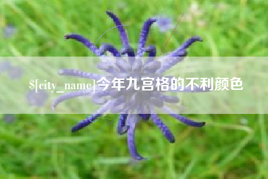 运城今年九宫格的不利颜色