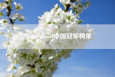 运城中国冠军榜单