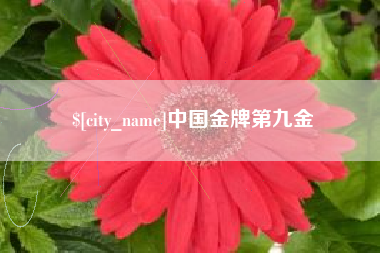 运城中国金牌第九金