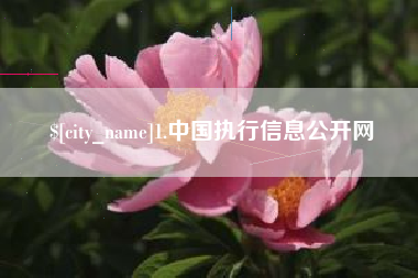 运城1.中国执行信息公开网