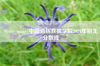 运城中国消防救援学院2024年招生分数线
