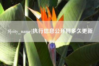 运城执行信息公开网多久更新
