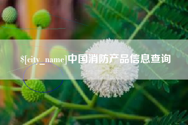 运城中国消防产品信息查询