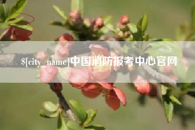 运城中国消防报考中心官网