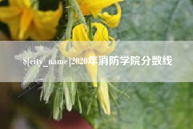 运城2020年消防学院分数线