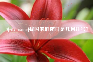 运城我国的消防日是几月几号？
