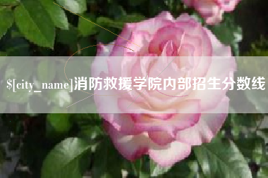 运城消防救援学院内部招生分数线