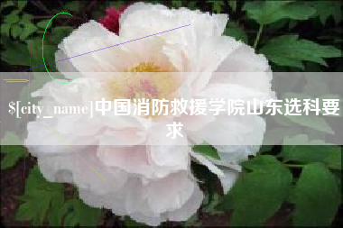 运城中国消防救援学院山东选科要求