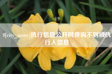 运城执行信息公开网查询不到被执行人信息