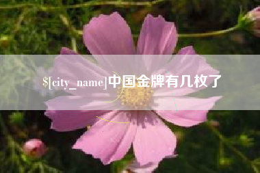 运城中国金牌有几枚了