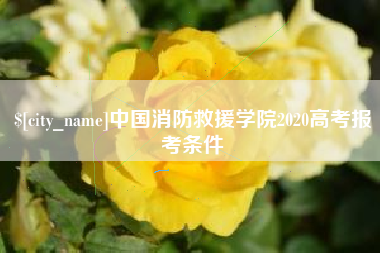 运城中国消防救援学院2020高考报考条件