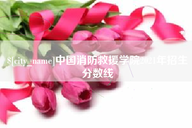 运城中国消防救援学院2021年招生分数线