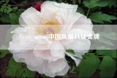 运城中国队第八块金牌