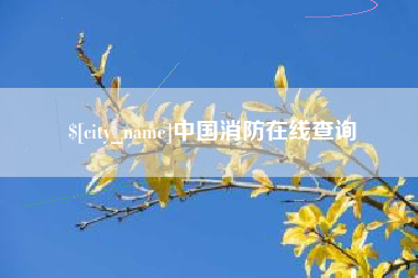 运城中国消防在线查询