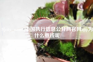 运城中国执行信息公开网官网app为什么要钱呢