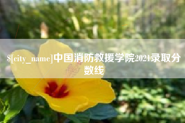 运城中国消防救援学院2021录取分数线