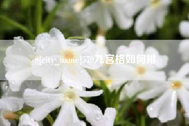 运城579九宫格如何排