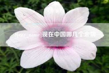 运城现在中国哪几个金牌