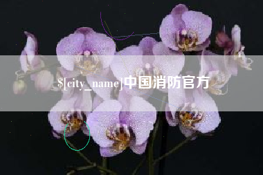 运城中国消防官方