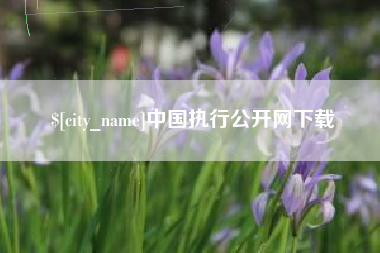 运城中国执行公开网下载