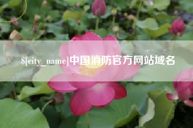 运城中国消防官方网站域名