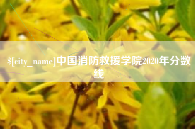 运城中国消防救援学院2020年分数线