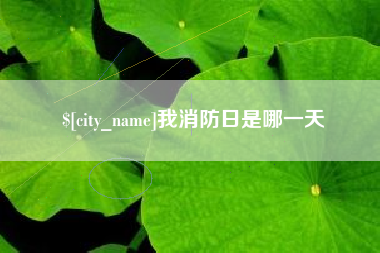 运城我消防日是哪一天