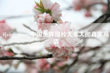 运城中国金牌图片大全大图真实高清