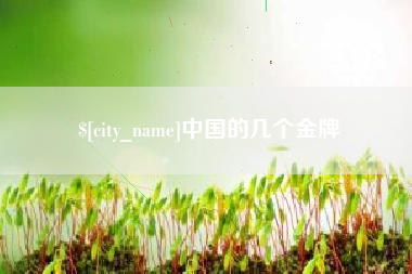 运城中国的几个金牌