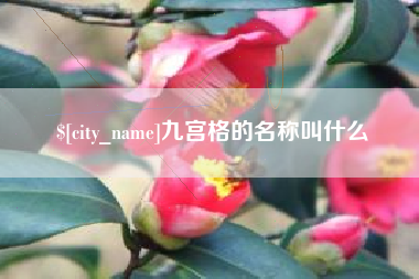 运城九宫格的名称叫什么