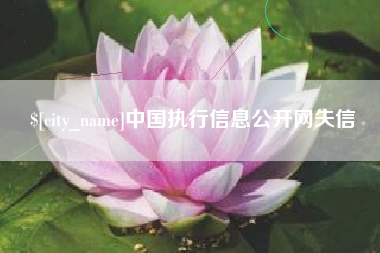 运城中国执行信息公开网失信