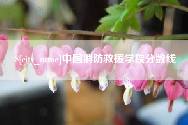 运城中国消防救援学院分数线