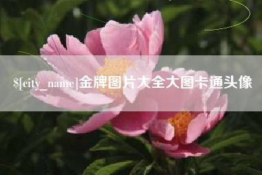 运城金牌图片大全大图卡通头像