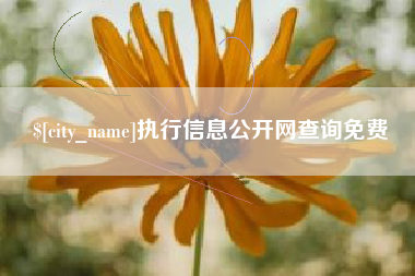 运城执行信息公开网查询免费